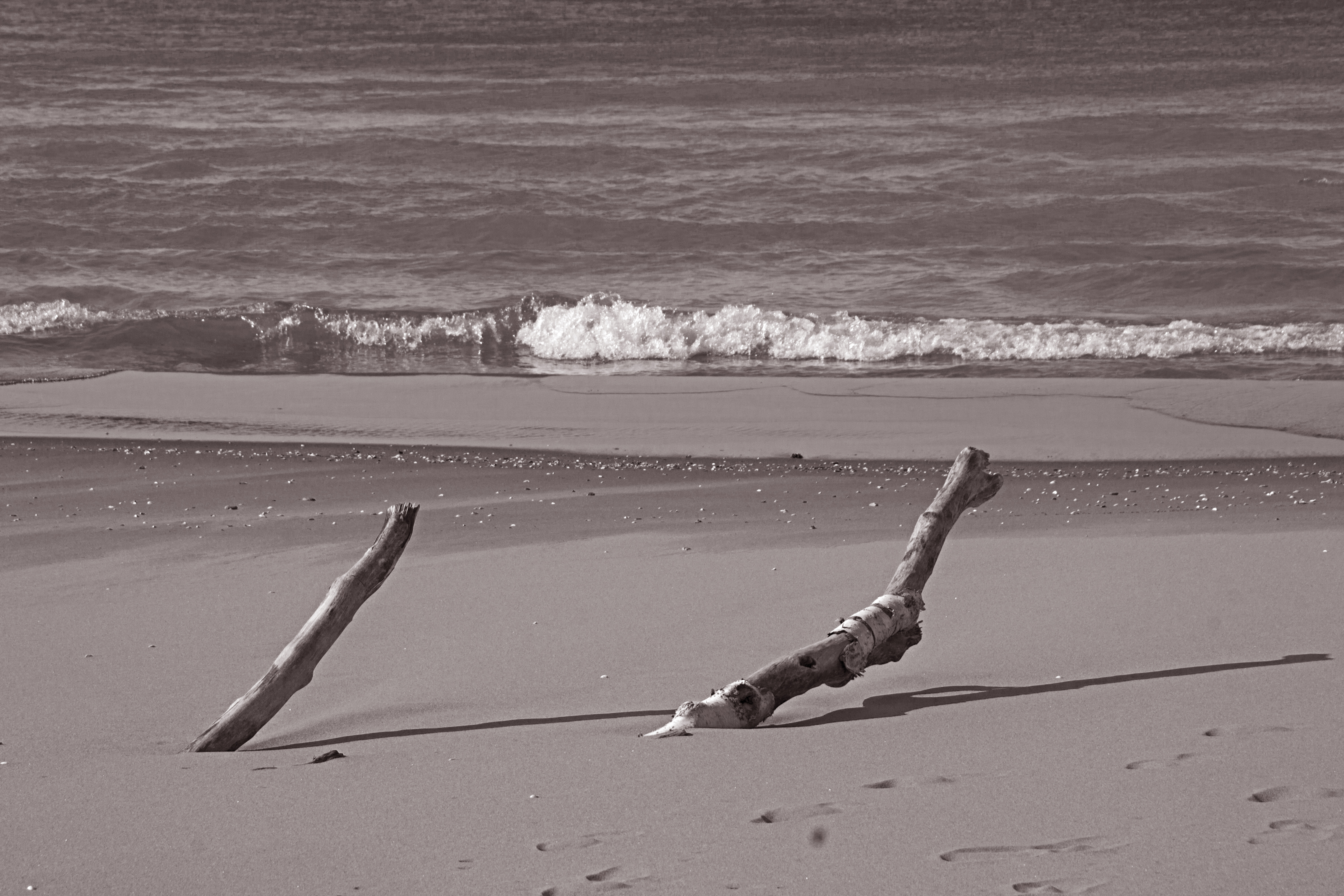 USA Strand S/W